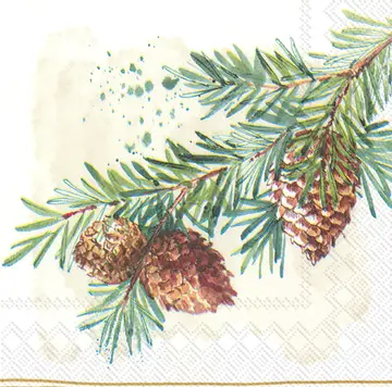 Cocktail Napkins