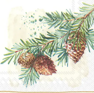 Cocktail Napkins
