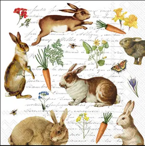 Lunch Napkins