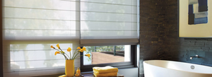 Hunter Douglas Window Treatments