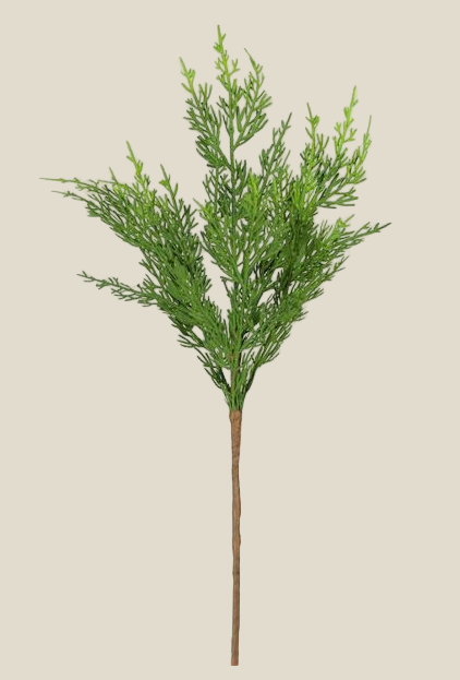 Juniper Spray
