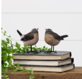 Bird with metal feet