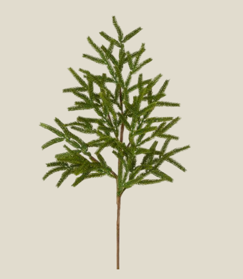 Spray, 27" Norfolk Island Pine