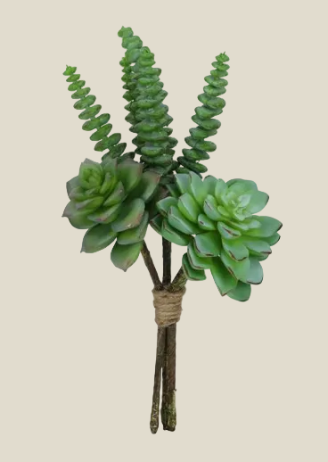Mixed Green Succulent Bush