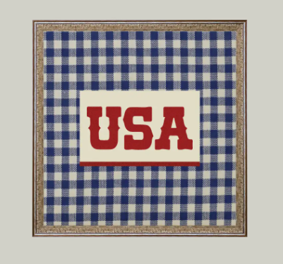 Plaid USA Framed Art, 9x9