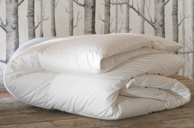 Eastern Accent Queen Duvet Insert