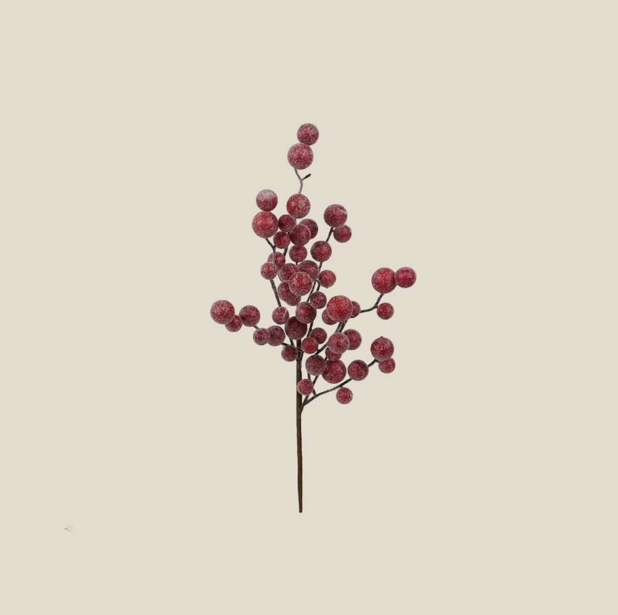 Red Frosted Berry Pick