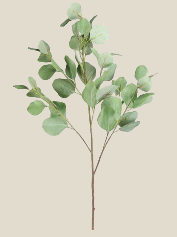 Spray, Silver Dollar Eucalyptus