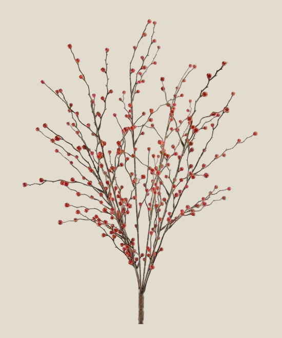 Spray, Bush, Red Berries