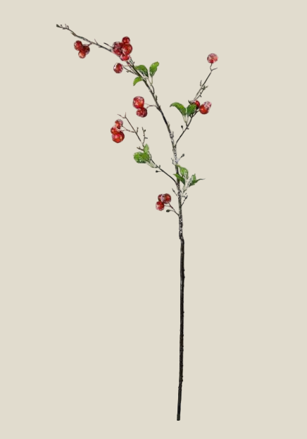 Spray, Snowy Berry, Red