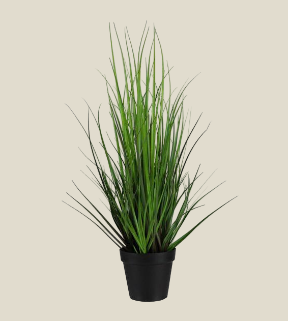 Potted Grass - 24" in Black Pot