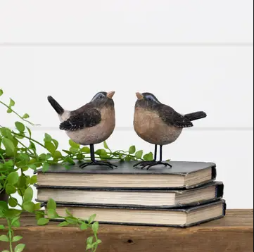 Bird with metal feet