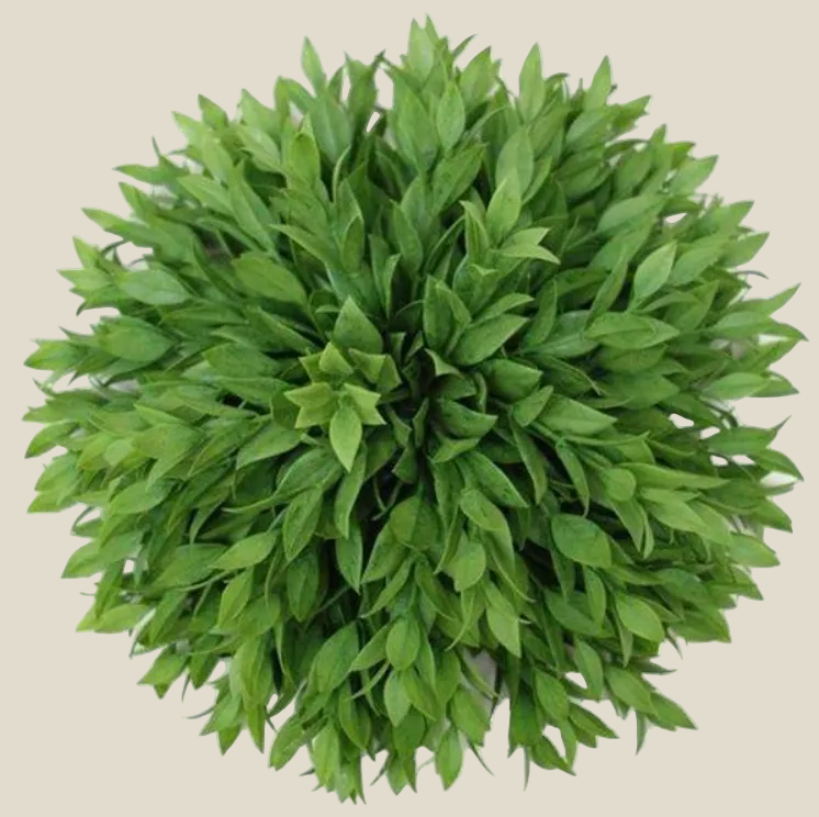 Ball, Half round Ruscus 11.5"