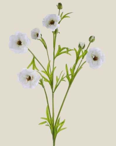 Spray, Ranunculus 28"