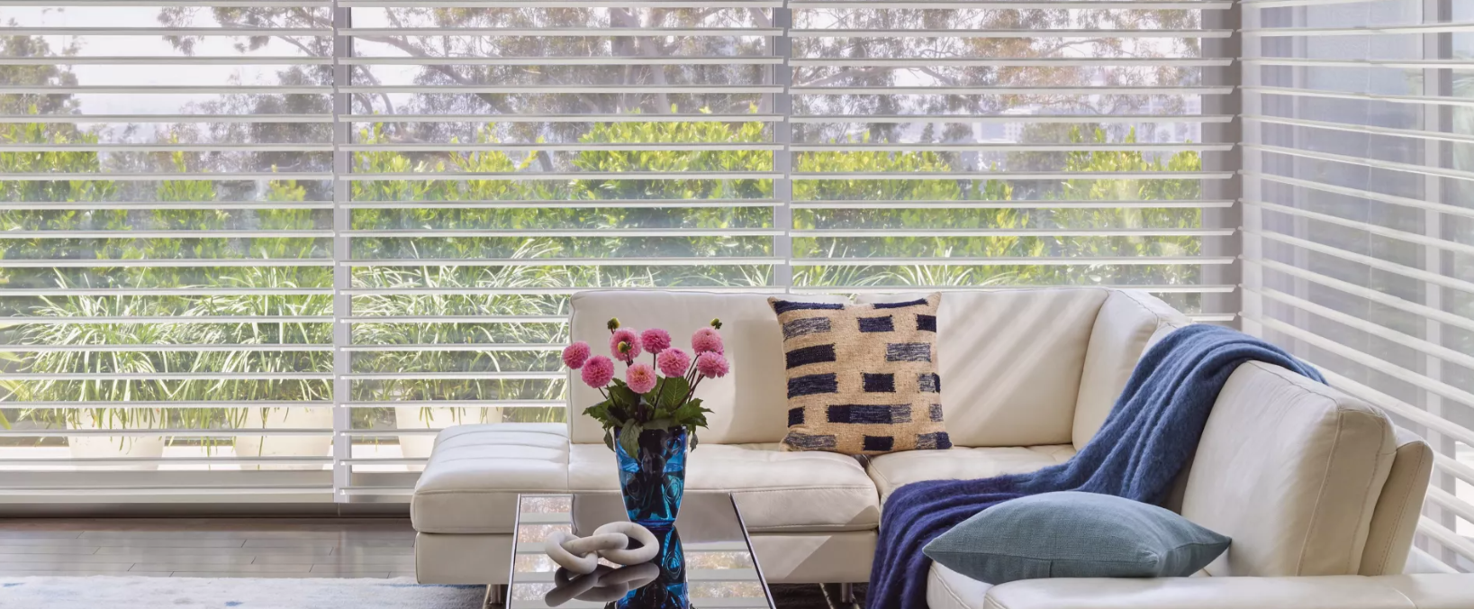 Hunter Douglas Window Treatments