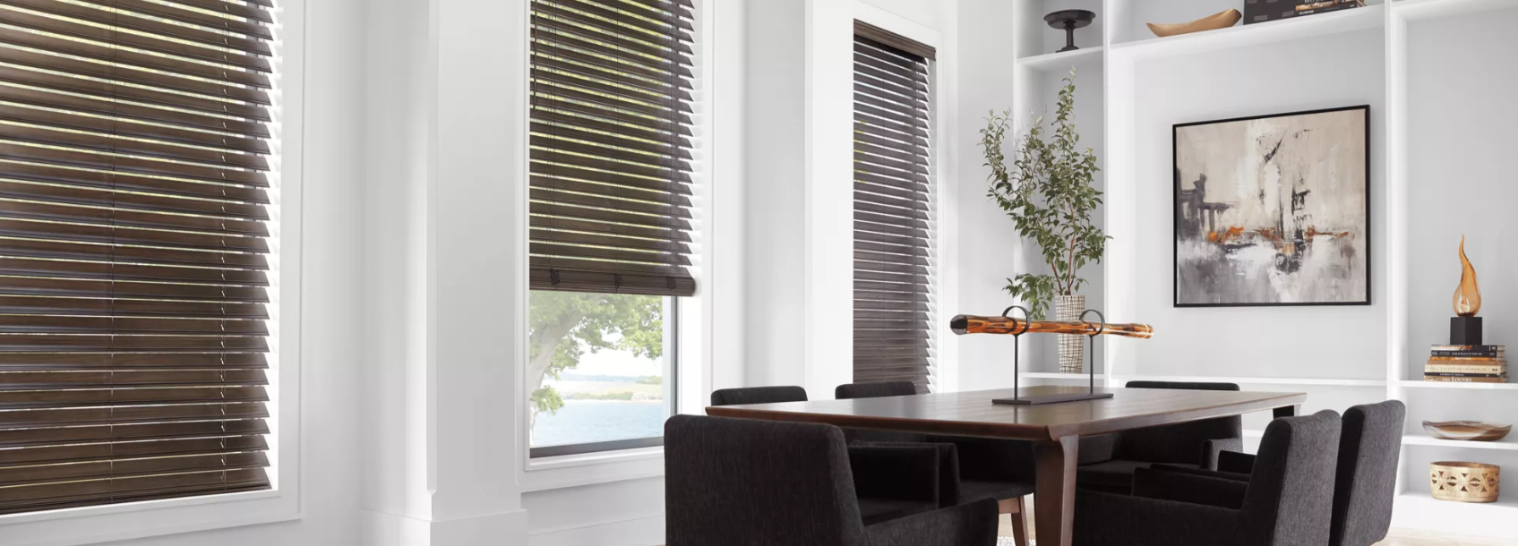 Hunter Douglas Window Treatments