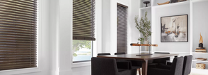 Hunter Douglas Window Treatments
