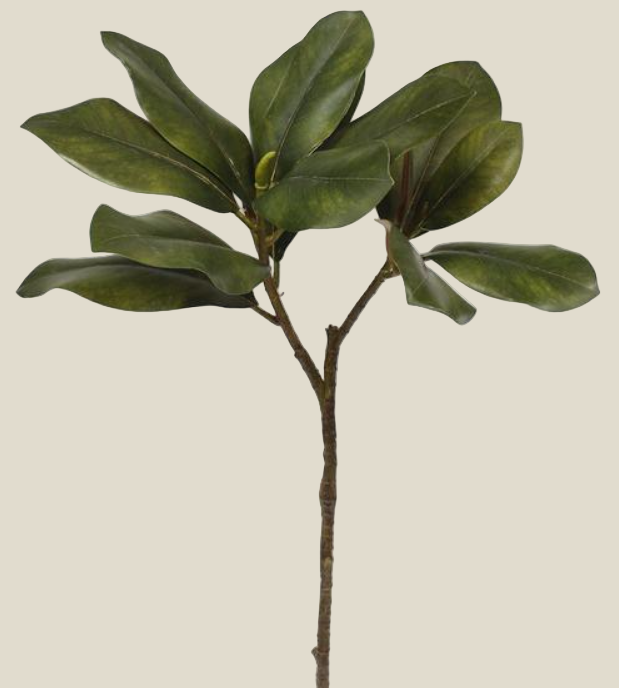 Spray, Magnolia Leaf/ 27"