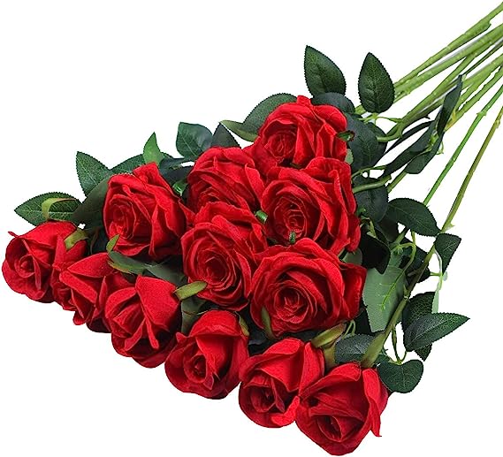 Stem, Rose, Bright Red