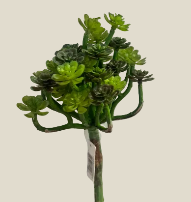 Plant, Succulent Pick 6"