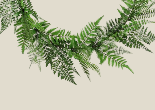 Garland, Mixed Fern 60"