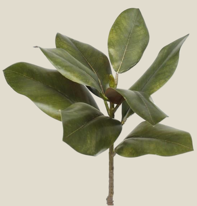 Pick, Magnolia Leaf/ 16.25"