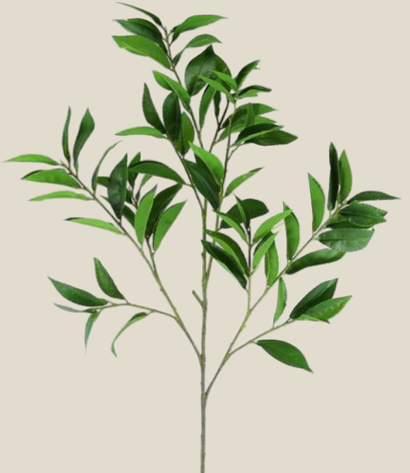 Spray, Bay Leaf