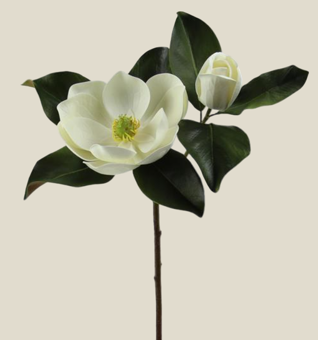 Spray, Magnolia White