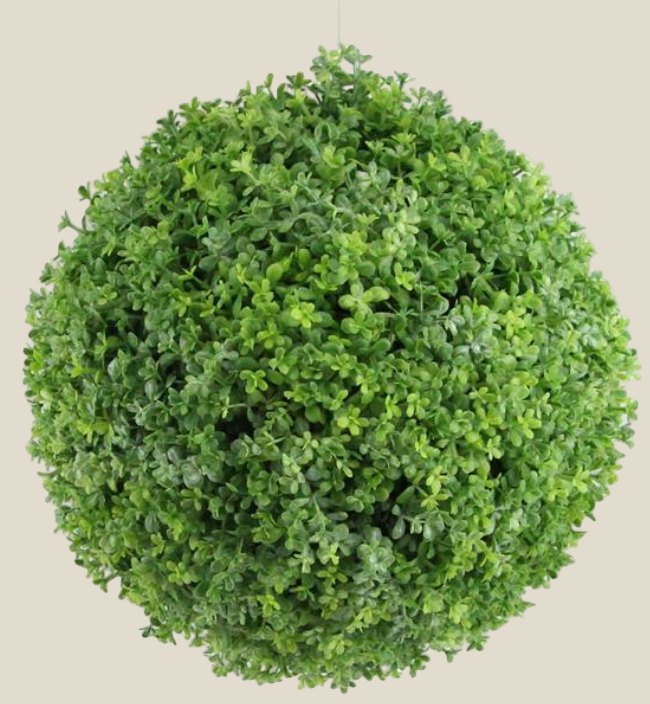 Ball, Creeping Thyme 6"