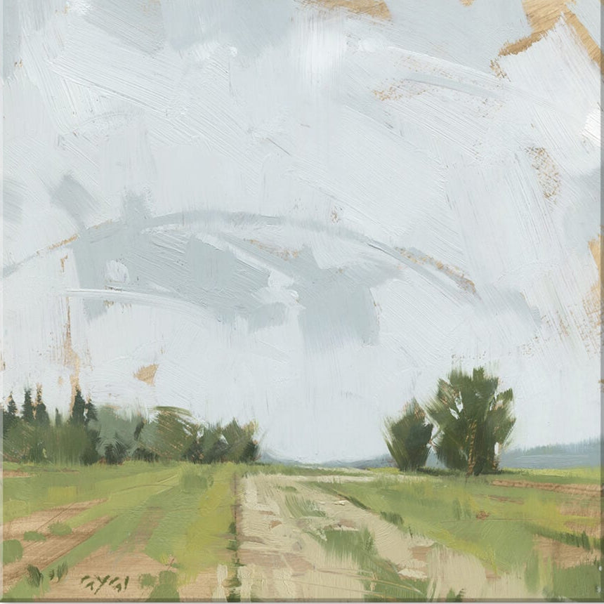 Big Sky Canvas Print / Rural Field