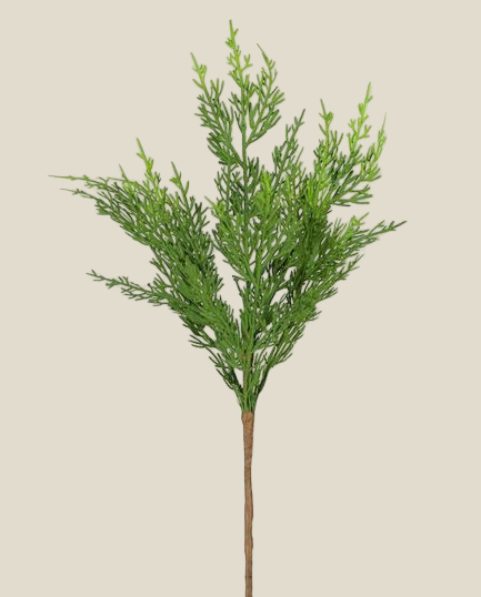 Spray, 40" Cedar Green