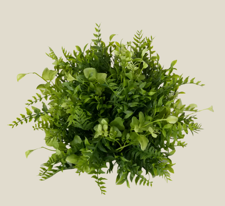 Fern/ Mixed Green Orb